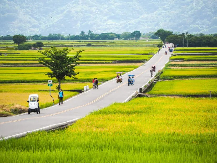 Chuyến bay từ Đài Loan về Việt Nam giá rẻ bất&nbsp;ngờ