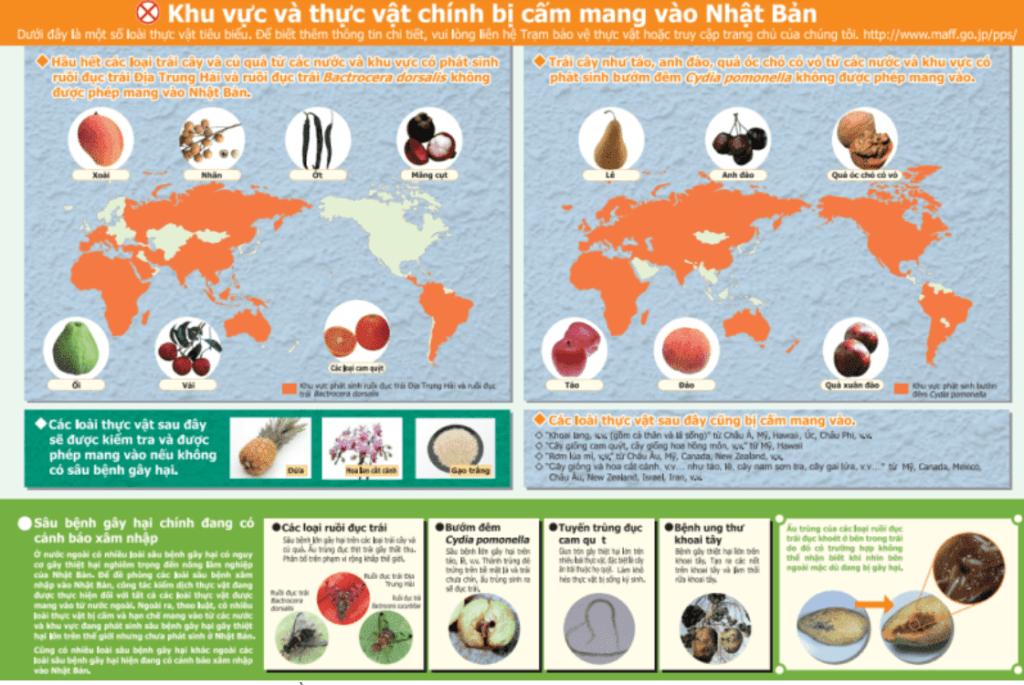 Lưu ý không mang những vật sau vào nhập cảnh Nhật&nbsp;Bản